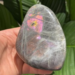 Lilla labradorit freeform