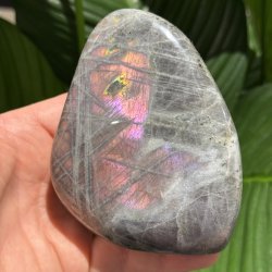 Lilla labradorit freeform