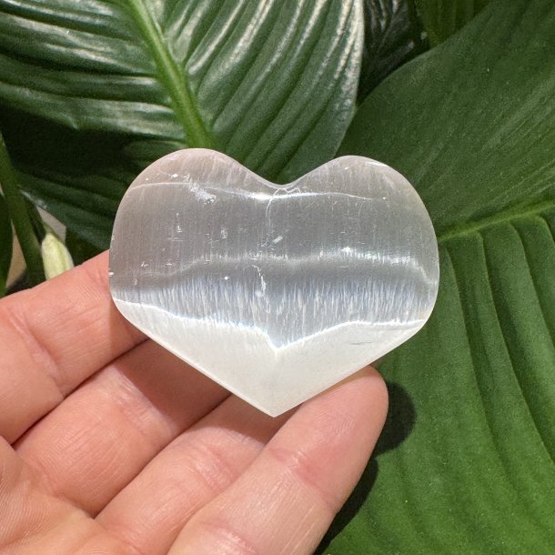 Selenit hjerte