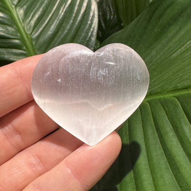 Selenit hjerte