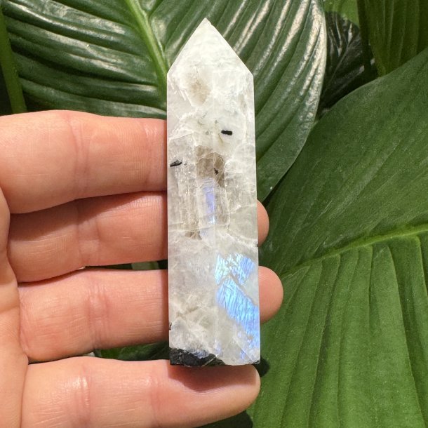 Regnbue m�nesten t�rn 88mm