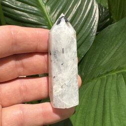 Regnbue m�nesten t�rn 70mm