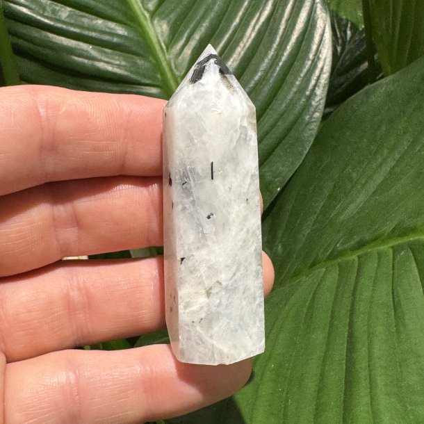 Regnbue m�nesten t�rn 70mm