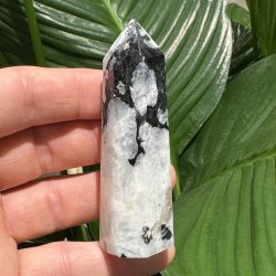 Regnbue m�nesten t�rn 82mm