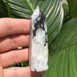 Regnbue m�nesten t�rn 82mm