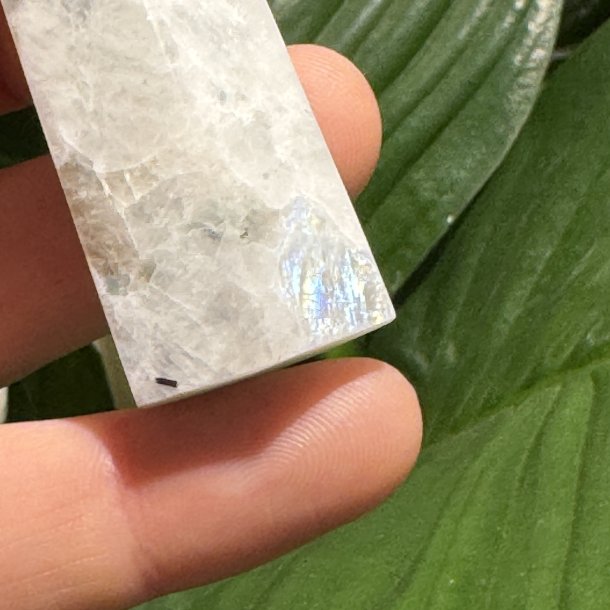 Regnbue m�nesten t�rn 82mm