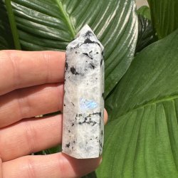 Regnbue m�nesten t�rn 74mm