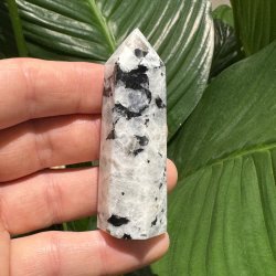 Regnbue m�nesten t�rn 74mm