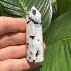 Regnbue m�nesten t�rn 74mm