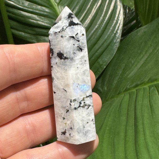 Regnbue m�nesten t�rn 74mm