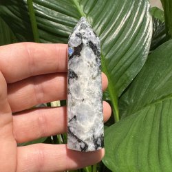 Regnbue m�nesten t�rn 85mm