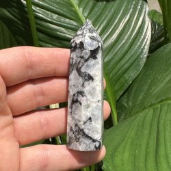 Regnbue m�nesten t�rn 85mm