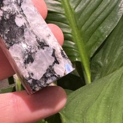 Regnbue m�nesten t�rn 85mm