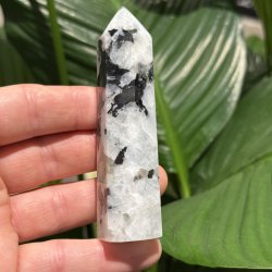 Regnbue m�nesten t�rn 97mm