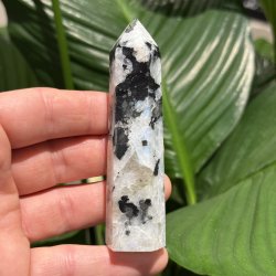 Regnbue m�nesten t�rn 97mm