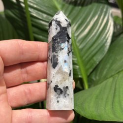 Regnbue m�nesten t�rn 97mm