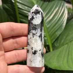 Regnbue m�nesten t�rn 97mm