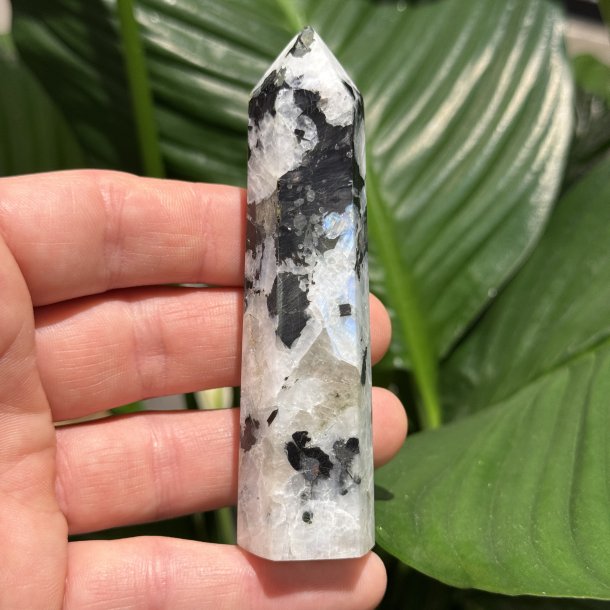 Regnbue m�nesten t�rn 97mm