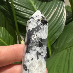 Regnbue m�nesten t�rn 97mm