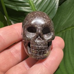 Drageblods jaspis skull