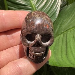 Drageblods jaspis skull