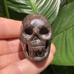 Drageblods jaspis skull