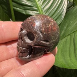 Drageblods jaspis skull