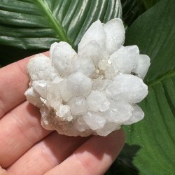 Blomsterkvarts klynge