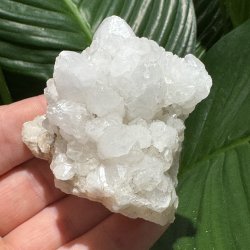 Blomsterkvarts klynge