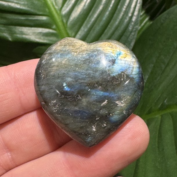Labradorit hjerte