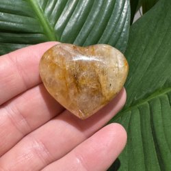 Golden healer hjerte