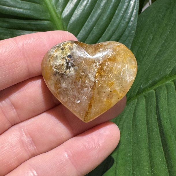 Golden healer hjerte