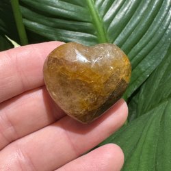 Golden healer hjerte