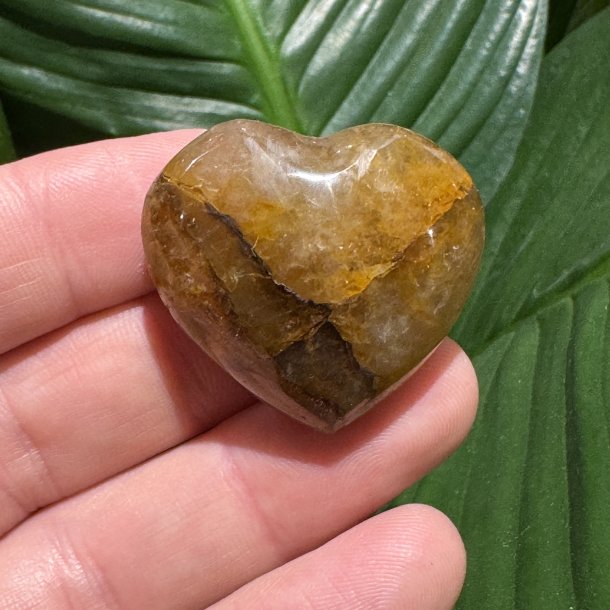 Golden healer hjerte