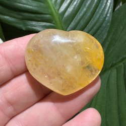 Golden healer hjerte