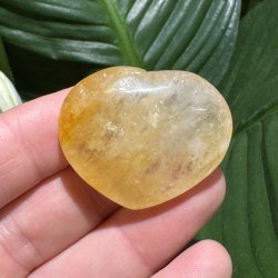 Golden healer hjerte