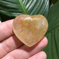 Golden healer hjerte