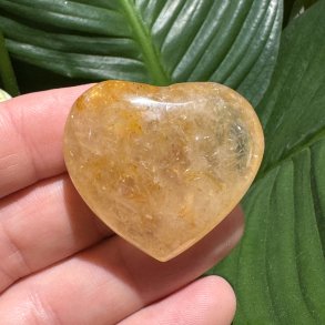 Golden healer hjerte