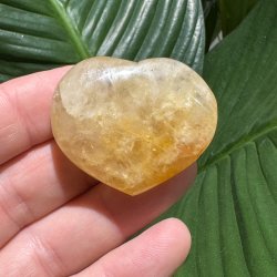 Golden healer hjerte