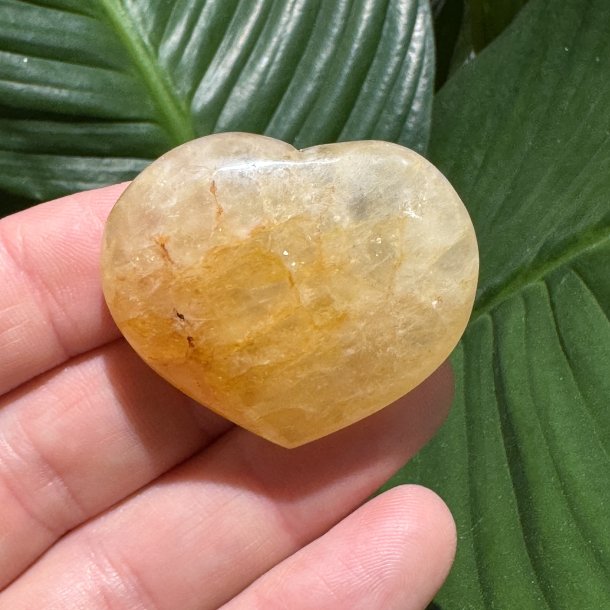 Golden healer hjerte