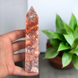 Cotton candy agat t�rn 147mm