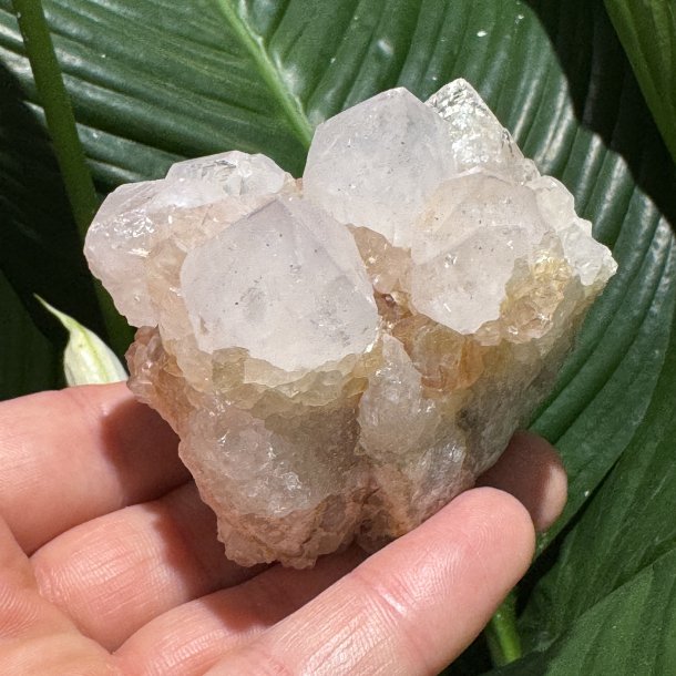 Spirit kvarts med citrin