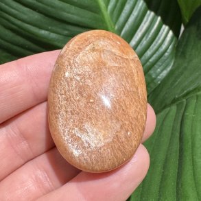 Fersken m�nesten jumbo