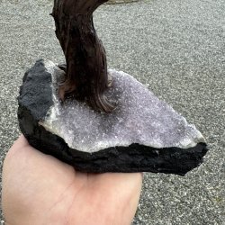 Bonsai tr� af ametyst og sort turmalin