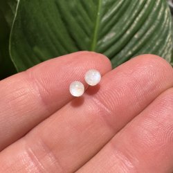 Bl� m�nesten �restikker 5mm