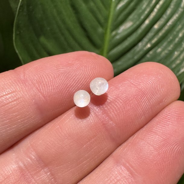 Bl� m�nesten �restikker 5mm