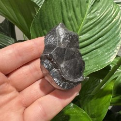 H�matit Botryoidal