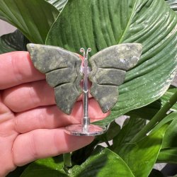 Gr�n jade sommerfugl st�ende p� fod