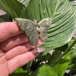 Gr�n jade sommerfugl st�ende p� fod