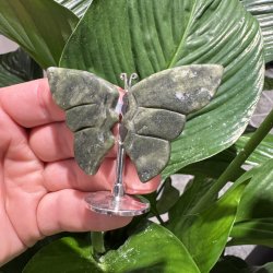 Gr�n jade sommerfugl st�ende p� fod